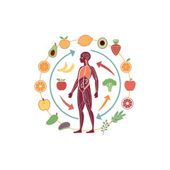 Fresh healthy food with flying vegetables and fruits. Flat vector illustration of different meal with tomato, cucumber, bell pepper, apple, and carrot. Organic food concept, diet and healthy lifestyle