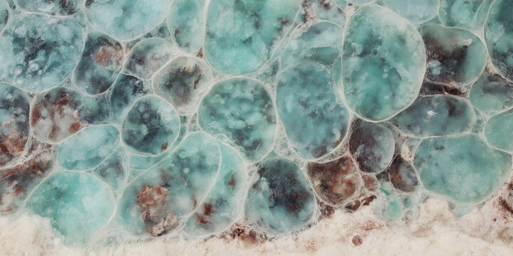Abstract Turquoise and Brown Cellular Pattern with Organic Bubbles Texture