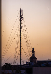 Birds on a mast at sunset