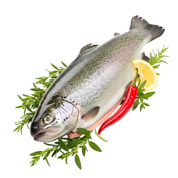 Fresh whole trout with lemon and chili peppers on a dark background