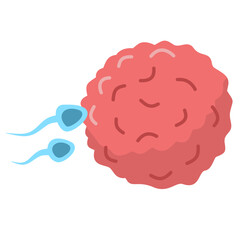 Active Sperm Cells Swim to the Egg