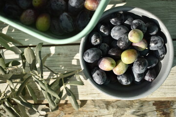 fresh black olives in bowl among olive leaves and branches on white wooden background top view