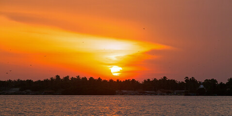 Sunset Cruise with birds flying and palm tree kined shoreline