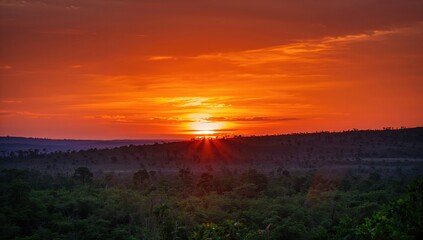 Obraz premium Sunset casting vibrant colors over a park, showcasing seasonal change