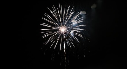 Bright white fireworks exploding against dark night sky