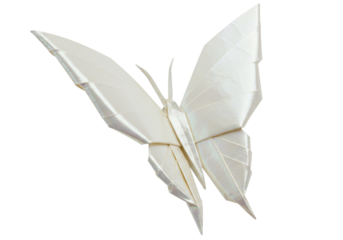 Isolated origami butterfly, a decorative art project with folded paper for a craft concept