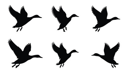 A collection of black duck silhouettes in various flying positions on a white background. Perfect for wildlife designs, nature illustrations