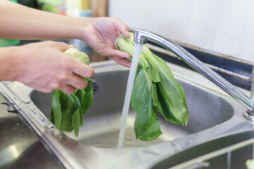 Woman hands washing fresh green bok choy in kitchen