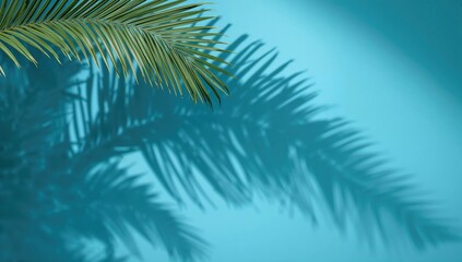 Obraz premium Tropical sunny banner background featuring palm shadow cast on a solid blue wall, ideal for editorial header use