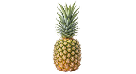 Isolated fresh whole pineapple fruit with green crown, tropical juicy summer food