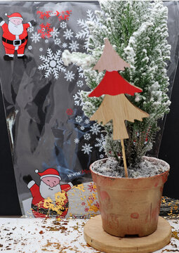 un mini sapin enneig&eacute; sous blister