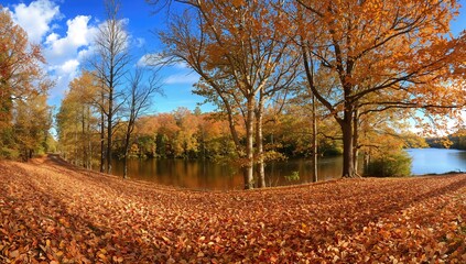 Naklejka premium Autumn Foliage in New England, showcasing seasonal change