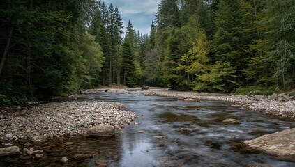 The serene beauty of a forest and river landscape, showcasing seasonal change