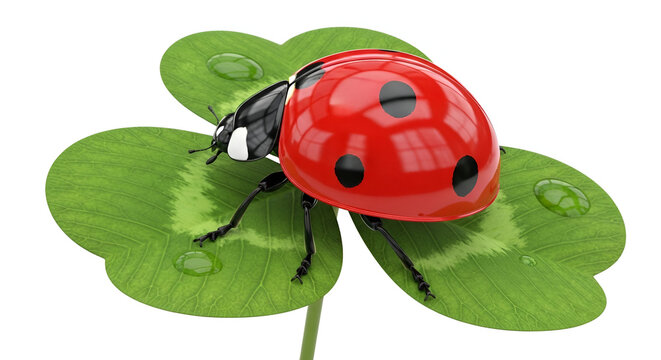 ladybug on green leaf - Powered by Adobe