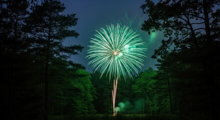 Vibrant green fireworks display in night forest sky