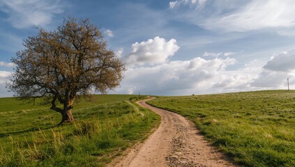 Obraz premium Nature trail winding through clouds, seasonal change