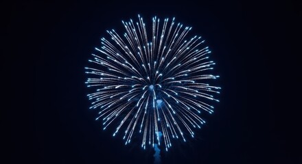 Fototapeta premium Brilliant blue firework display against night sky