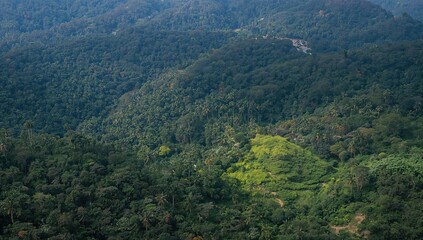 Obraz premium Nature's greenery envelops the rolling hills, showcasing a vibrant landscape, seasonal change