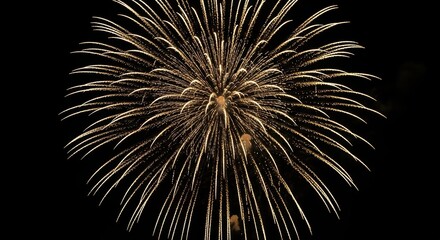 Fototapeta premium Golden fireworks burst against night sky, celebrating festive occasion