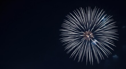 Fototapeta premium Brilliant firework display against night sky
