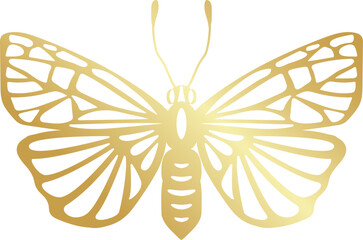 Golden butterfly vector art symbolizing elegance and luxury