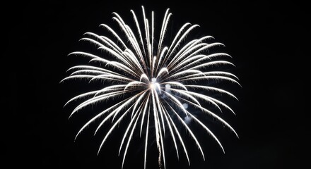 Fototapeta premium Brilliant white fireworks explosion in night sky celebration
