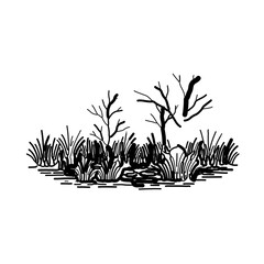 Dense swamp with grasses and water reflections depicted in naturalistic outline vector landscape style