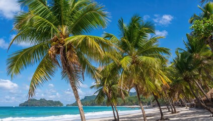 Obraz premium Palm trees swaying on a tropical beach, summer relaxation, World Environment Day