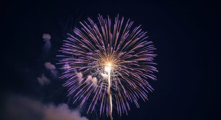 Vibrant purple fireworks display against night sky