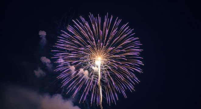Vibrant purple fireworks display against night sky