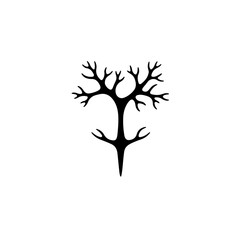 Fototapeta premium Neuron dendrite branching signal transmission nervous system cell structure delicate outline vector illustration