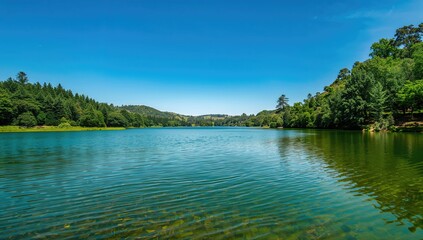 Obraz premium Nihotupu Reservoir in Auckland, water source and natural resource preservation