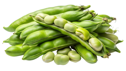 A fresh pile of bright green fava beans in their pods and shelled isolated on transparent background