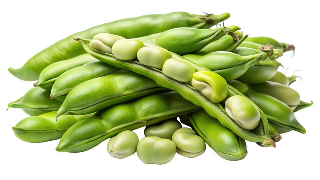 A fresh pile of bright green fava beans in their pods and shelled isolated on transparent background