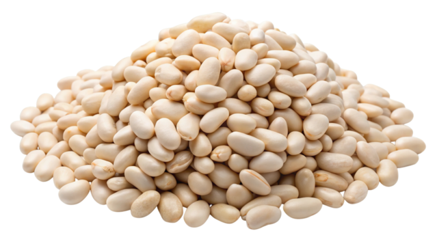 A large pile of dried navy beans forms a mound on a transparent background isolated on transparent background