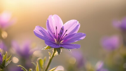 Fototapeta premium Purple flower in bloom, ideal for editorial backgrounds