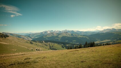 Fototapeta premium Wide meadow and mountain scenery with a retro vibe