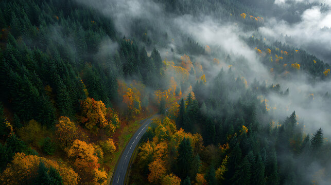 Misty mountain road winding through autumn forest aerial