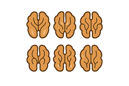 Stylized walnut halves icons representing healthy eating and nutrition concepts