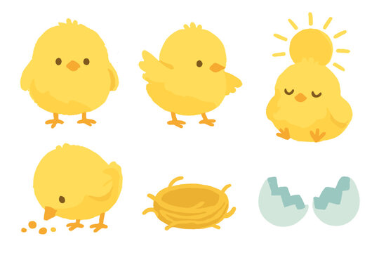 Adorable baby chicks resting in a nest with cracked eggshell