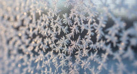 Frost patterns on window screen with intricate ice crystals  