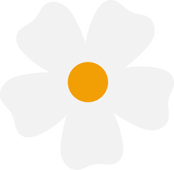 White daisy flower vector illustration