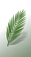Fototapeta premium Green Palm Leaf with Shadow - Tropical Foliage Illustration