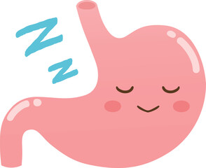 休息中の胃