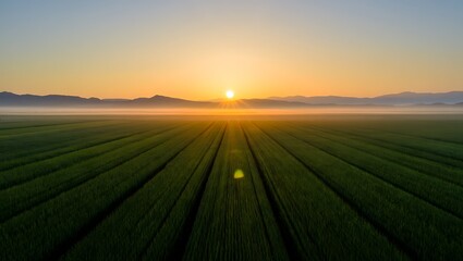 Beautiful sunrise over green field with misty mountains in the distance