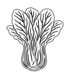 Cabbage Leaf Silhouette Vector Illustration Isolated on White Background