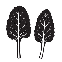 Cabbage Leaf Silhouette Vector Illustration Isolated on White Background