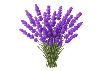 Obraz premium Lavender flowers bundled together, showing vibrant purple petals and green stems. Transparent background