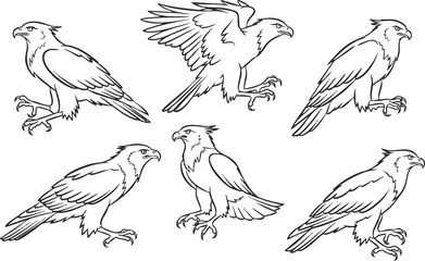 Fototapeta premium Dynamic Eagle Outline Set Majestic Birds in Various Poses