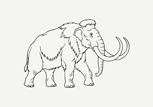 Majestic Mammoth Line Art Prehistoric Wildlife Illustration